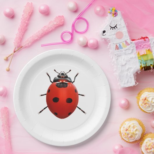 Lucky Ladybug Pappteller (Party)