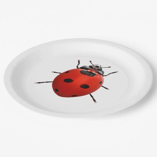 Lucky Ladybug Pappteller (Schrägansicht)