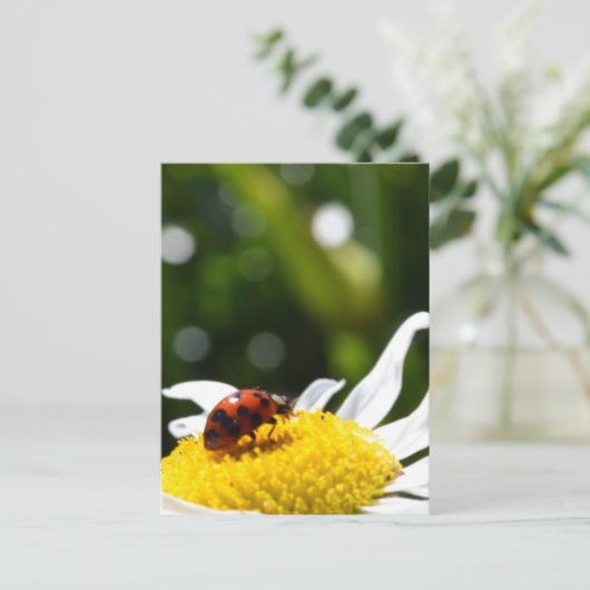 Lucky Ladybug Postkarte (Stehend Vorderseite)