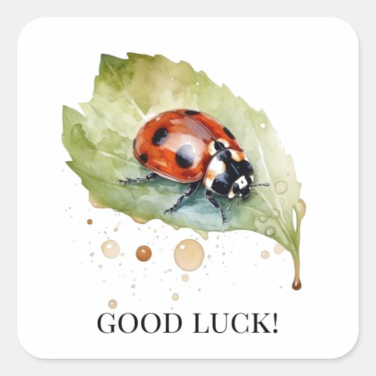 Lucky Ladybug über Leaf Quadratischer Aufkleber (Vorderseite)