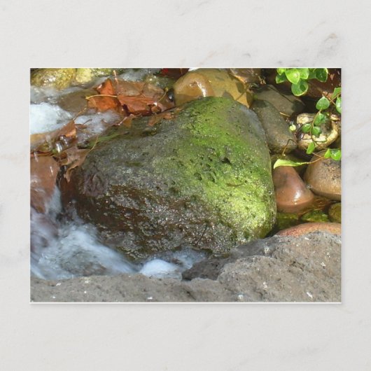 LUCKY LIEBE HEART POSTKARTE (Vorderseite)