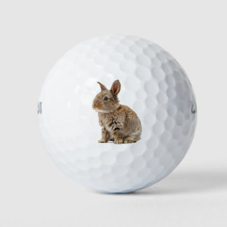 Lucky Niedlich Rabbit Bunny Golfball
