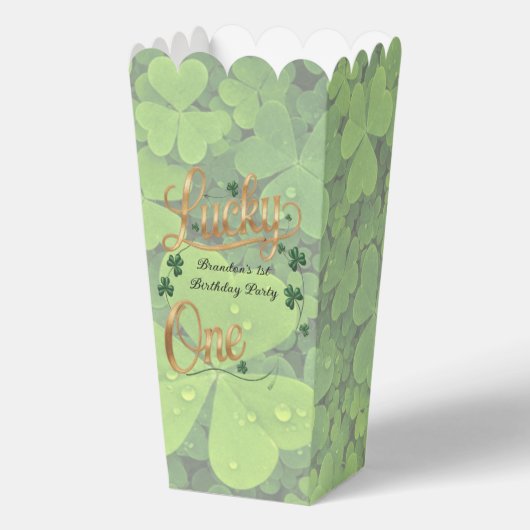 Lucky One 1st. Birthday Party  Geschenkschachtel (Vorderseite)