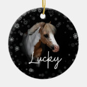Lucky Ornament (Vorne)