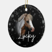 Lucky Ornament (Links)