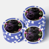 Lucky Pocker Chips für Katzen Liebhaber (Stapel)