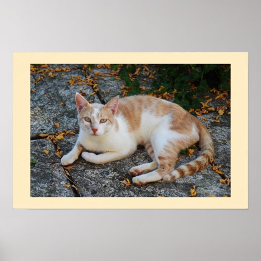 Lucky Poster (Vorne)