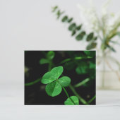 Lucky Postkarte (Stehend Vorderseite)