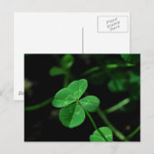 Lucky Postkarte (Vorne/Hinten)