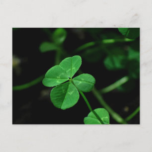 Lucky Postkarte