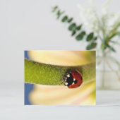 Lucky Postkarte (Stehend Vorderseite)