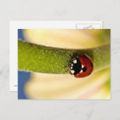 Lucky Postkarte (Vorne/Hinten)