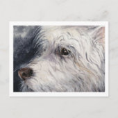 Lucky Postkarte (Vorderseite)