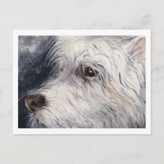 Lucky Postkarte (Vorderseite)