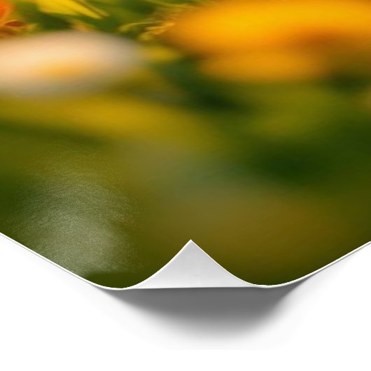 Lucky Rabbit Foot Poster (Ecke)