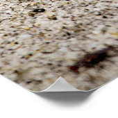 Lucky Sand Dollar Poster (Ecke)