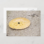 Lucky Sand Dollar Postkarte (Vorne/Hinten)