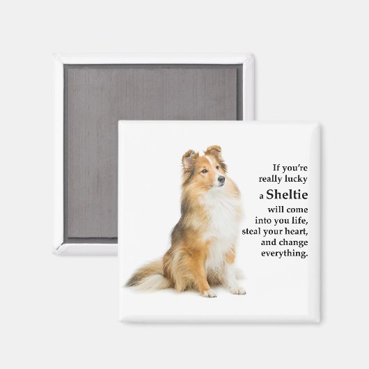 Lucky Sheltie Magnet (Vorderseite/Rückseite)