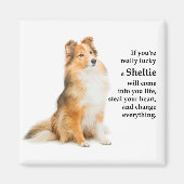Lucky Sheltie Magnet (Vorne)