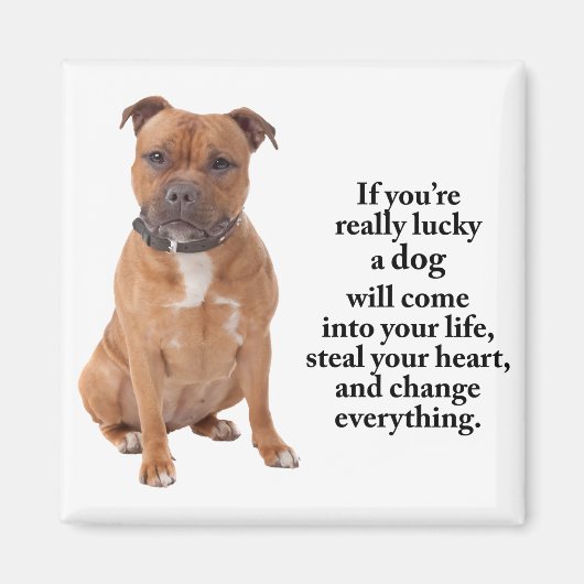 Lucky Staffie Magnet (Vorne)