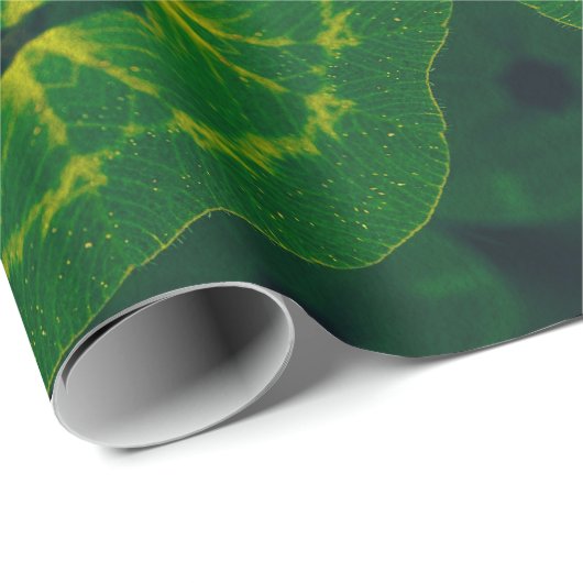 Lucky Wrap Green Irish Clover Pattern Nr. 5 Geschenkpapier (Rolleneckpunkt)