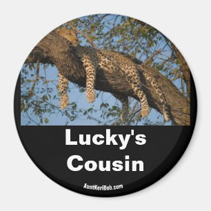 Lucky's Cousin Magnet