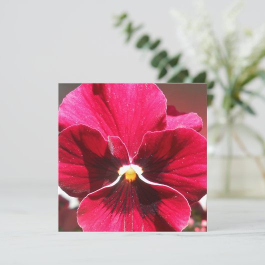 Lucrezia (Stehend Vorderseite)