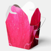 Lucrezia Geschenkschachtel (Geöffnet)