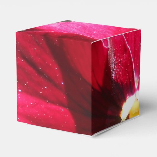 Lucrezia Geschenkschachtel (Rückseite)