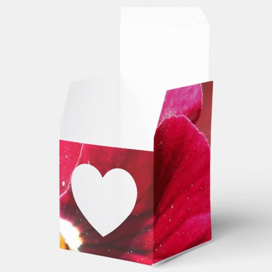 Lucrezia Geschenkschachtel (Geöffnet)