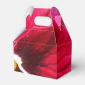 Lucrezia Geschenkschachtel (Vorderseite)