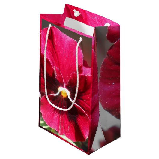 Lucrezia Kleine Geschenktüte (Vorderseite Schrägansicht)