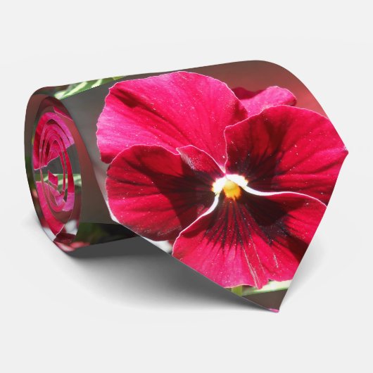 Lucrezia Krawatte (Gerollt)