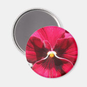 Lucrezia Magnet (Vorderseite/Rückseite)