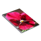 Lucrezia Notizblock (Rechte Seite)