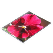 Lucrezia Notizblock (Linke Seite)