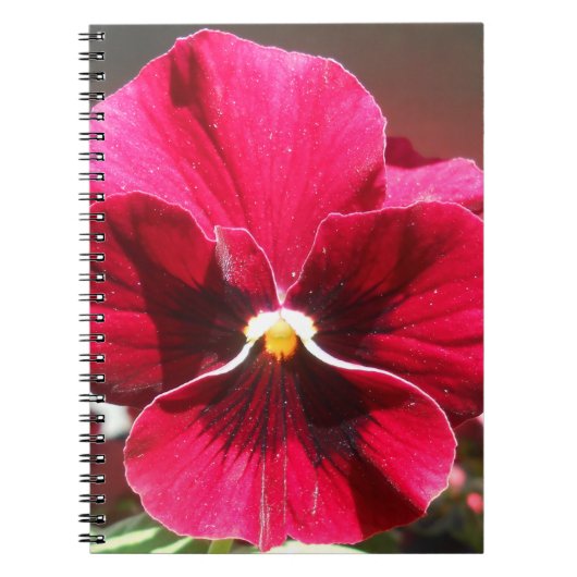 Lucrezia Notizblock (Vorderseite)