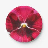 Lucrezia Pappteller (Vorderseite)