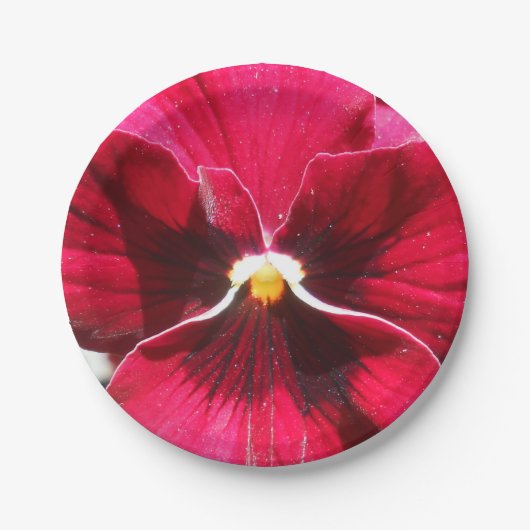 Lucrezia Pappteller (Vorderseite)