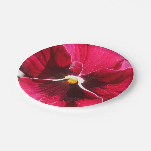 Lucrezia Pappteller (Schrägansicht)