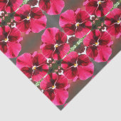 Lucrezia Seidenpapier (Ausschnitt)