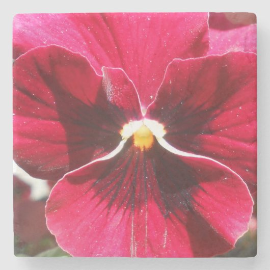 Lucrezia Steinuntersetzer (Vorderseite)