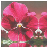 Lucrezia Stoff (Nahaufnahme)