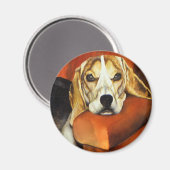 Lucy Beagle Magnet (Vorderseite/Rückseite)