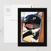 Lucy Closeup Painting Postkarte (Vorne/Hinten)
