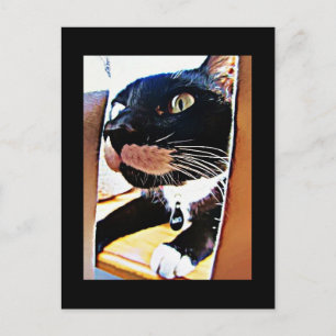 Lucy Closeup Painting Postkarte