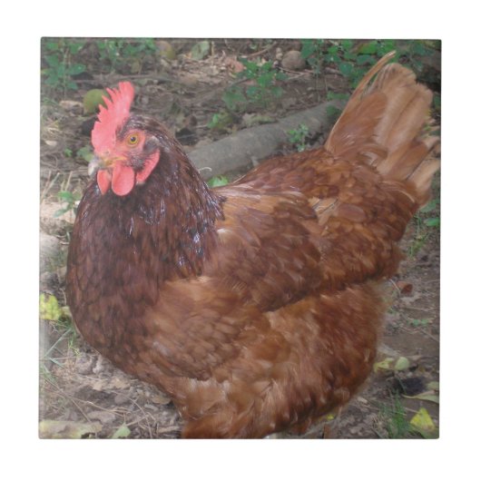 Lucy - Der rote Kopf! Fliese (Vorderseite)