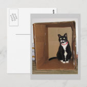 Lucy in einer Box Postkarte (Vorne/Hinten)