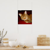 Lucy Kitty Poster (Küche)