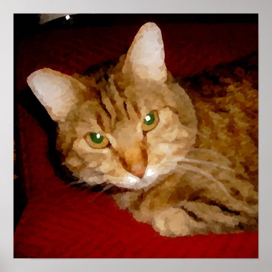 Lucy Kitty Poster (Vorne)